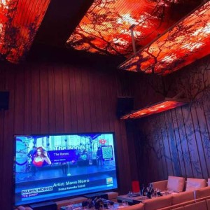 招聘酒吧驻场文案简短（酒吧驻场招募：创意文案短句）