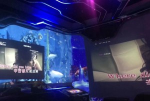 杭州富阳区灵桥镇附近ktv招聘商务礼仪,(不收入职费,直接入职的)