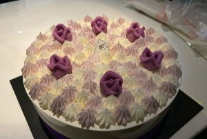 招聘总裁文案范文大全（总裁职位招聘启事文案精选集）