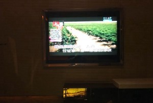 珠海服务文案图片招聘（珠海招聘服务文案设计&图片编辑）