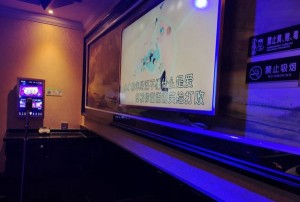 杭州萧山区新街街道附近酒吧招聘包厢陪唱,工作好做吗？