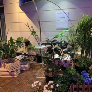 杭州中档酒吧招聘商务礼仪,应聘联系方式是什么